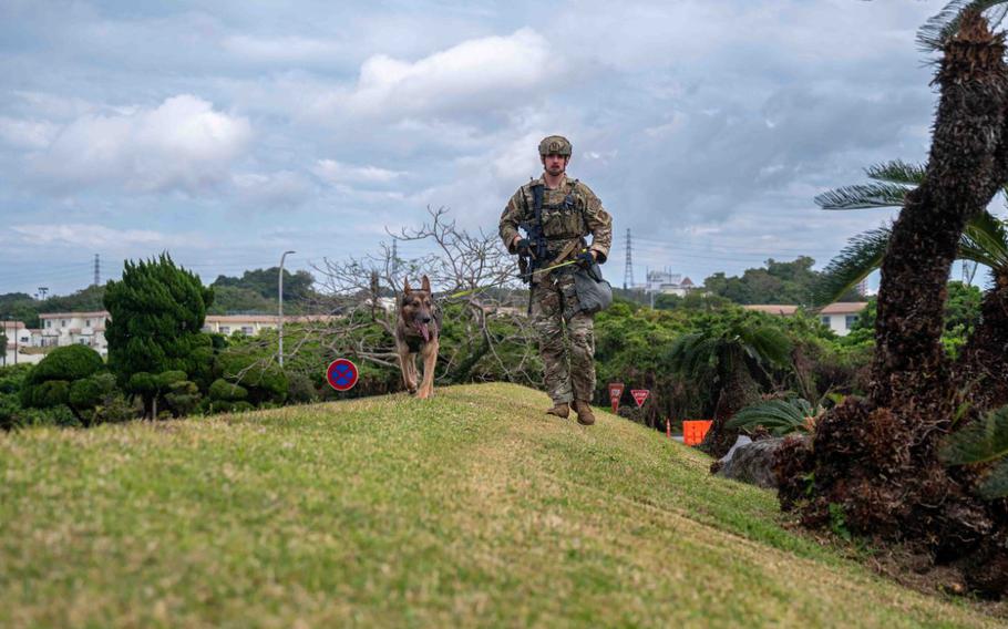 U.S. Air Force Staff. Sgt. Lucas Reale, 18th Security Forces military working dog handler, patrols areas near the medical facilities with MWD Szultan after a simulated attack during a USAF-led operational exercise Beverley Midnight 26 at Kadena Air Base.
